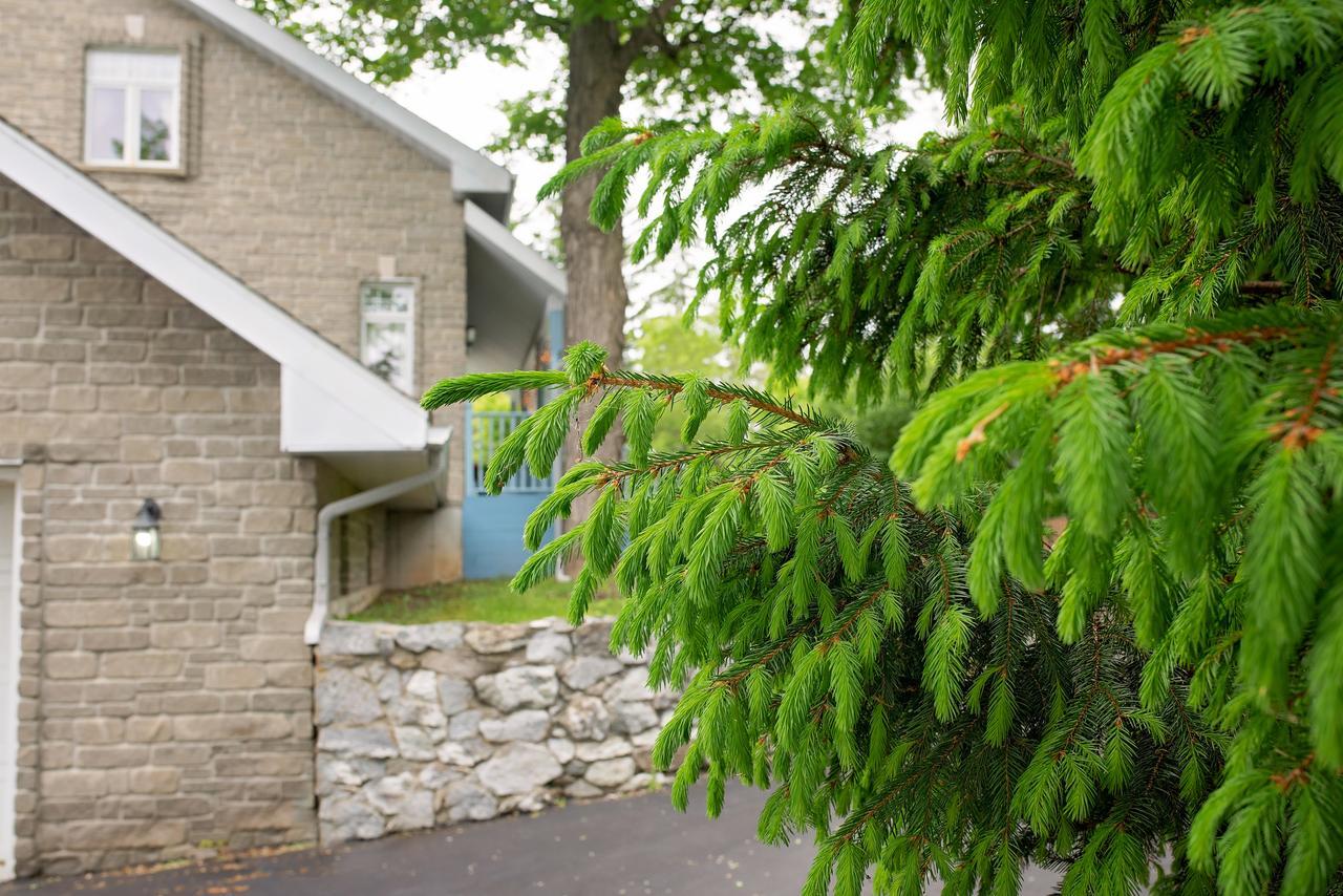Rock Hill Bed & Breakfast Sharbot Lake Dış mekan fotoğraf